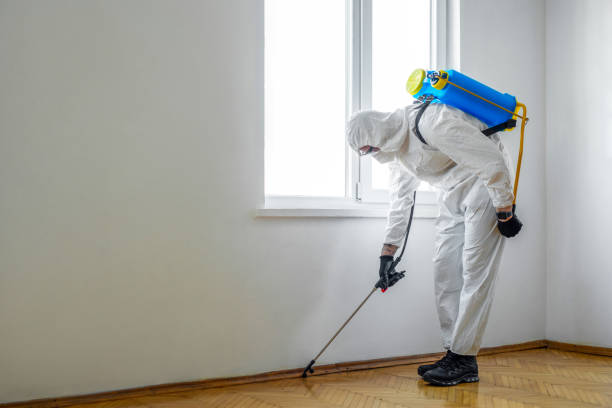 Best Emergency Pest Control  in Lacoste, TX